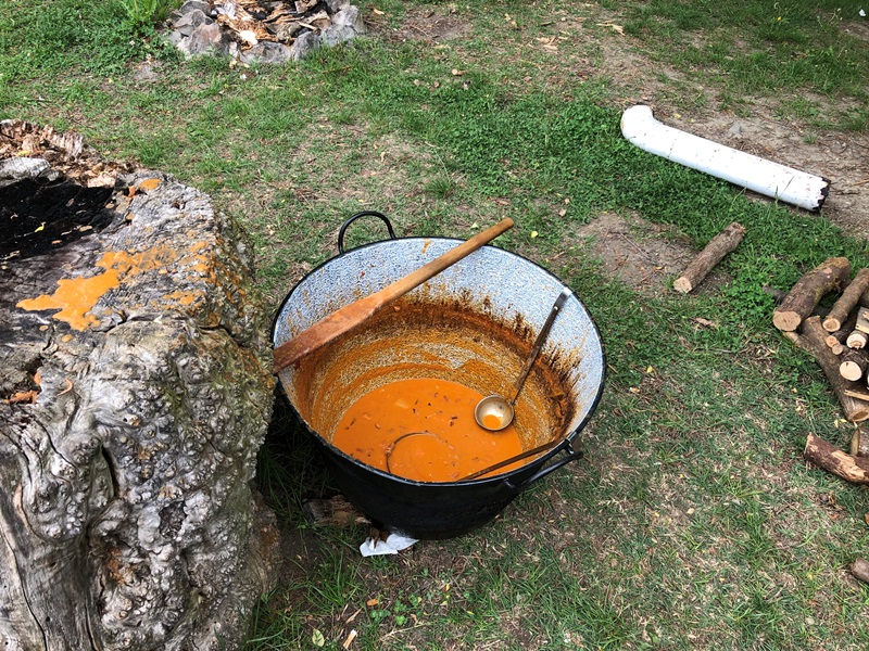 Slika